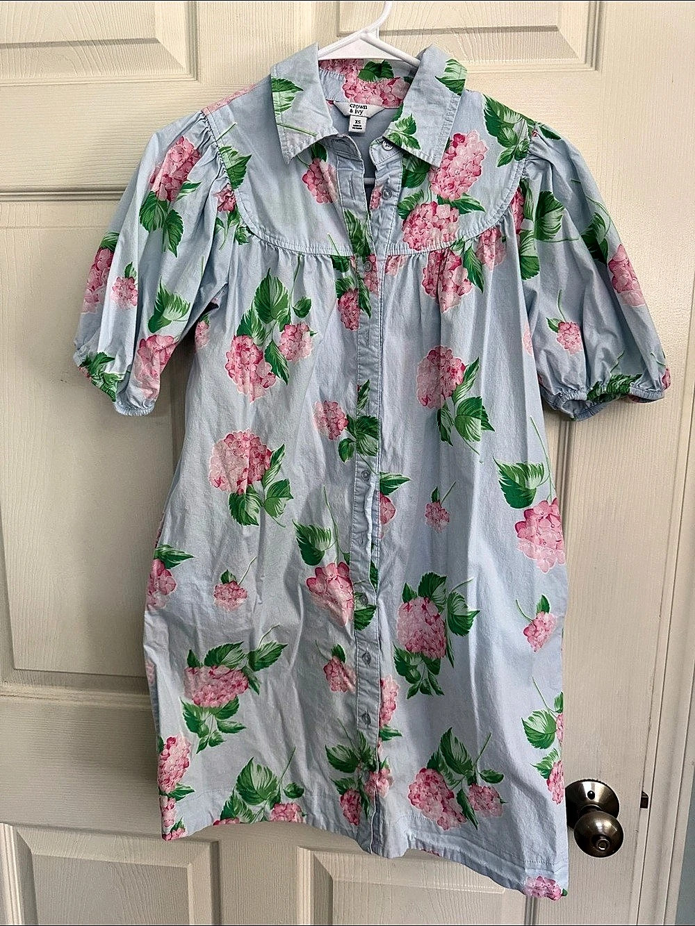 Crown & Ivy Floral Mini Dress in Blue & Pink Size XS